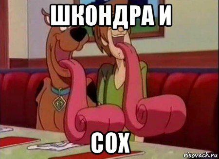 шкондра и сох