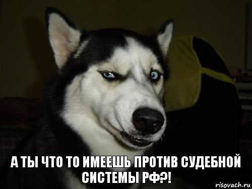 а ты что то имеешь против судебной системы РФ?!, Комикс  Собака подозревака