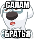 салам братья