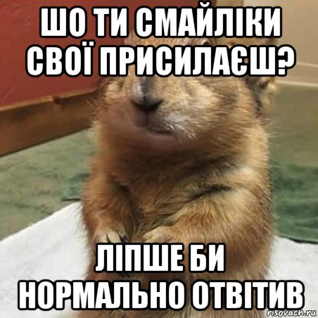 шо ти смайліки свої присилаєш? ліпше би нормально отвітив, Мем Суслик спрашивает