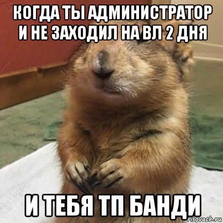 когда ты администратор и не заходил на вл 2 дня и тебя тп банди, Мем Суслик спрашивает