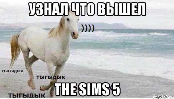 узнал что вышел the sims 5, Мем   Тыгыдык