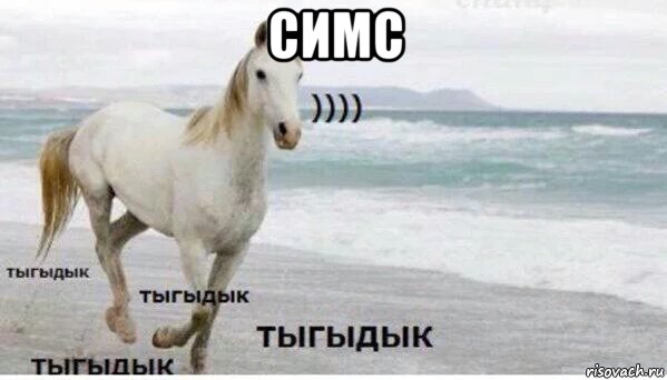 симс , Мем   Тыгыдык