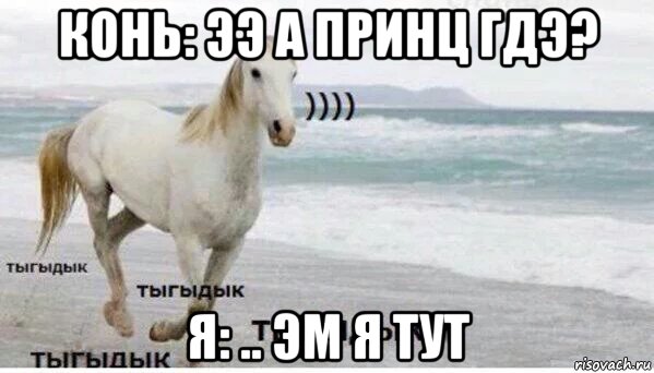 конь: ээ а принц гдэ? я: .. эм я тут, Мем   Тыгыдык