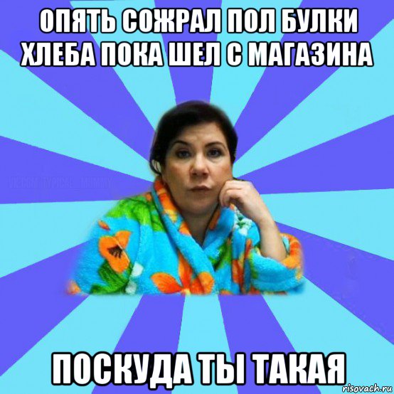 опять сожрал пол булки хлеба пока шел с магазина поскуда ты такая, Мем типичная мама