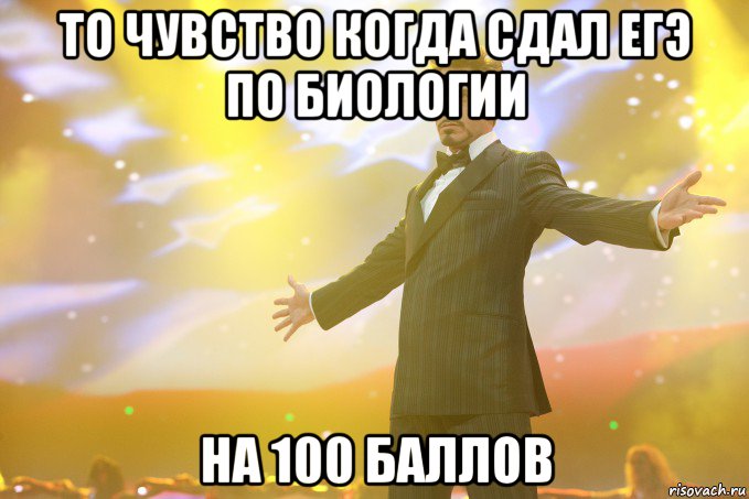 то чувство когда сдал егэ по биологии на 100 баллов, Мем Тони Старк (Роберт Дауни младший)