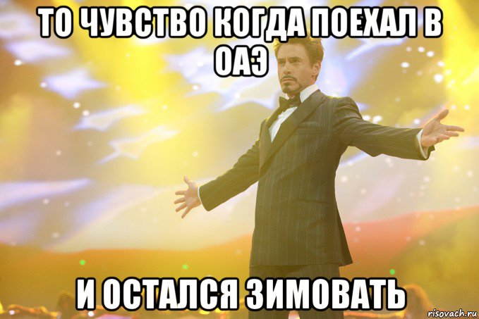 то чувство когда поехал в оаэ и остался зимовать, Мем Тони Старк (Роберт Дауни младший)