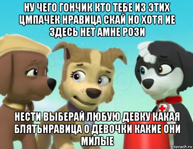 ну чего гончик кто тебе из этих цмпачек нравица скай но хотя ие здесь нет амне рози нести выберай любую девку какая блятьнравица о девочки какие они милые