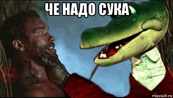 че надо сука 