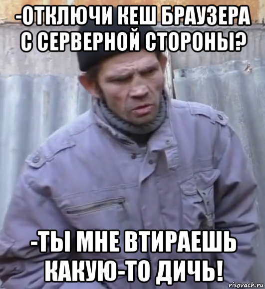 -отключи кеш браузера с серверной стороны? -ты мне втираешь какую-то дичь!, Мем  Ты втираешь мне какую то дичь