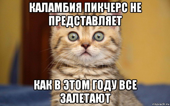 каламбия пикчерс не представляет как в этом году все залетают, Мем  удивление