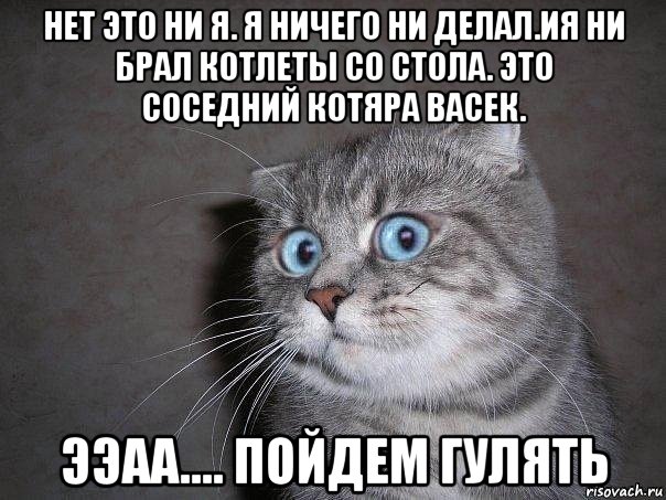 нет это ни я. я ничего ни делал.ия ни брал котлеты со стола. это соседний котяра васек. ээаа.... пойдем гулять