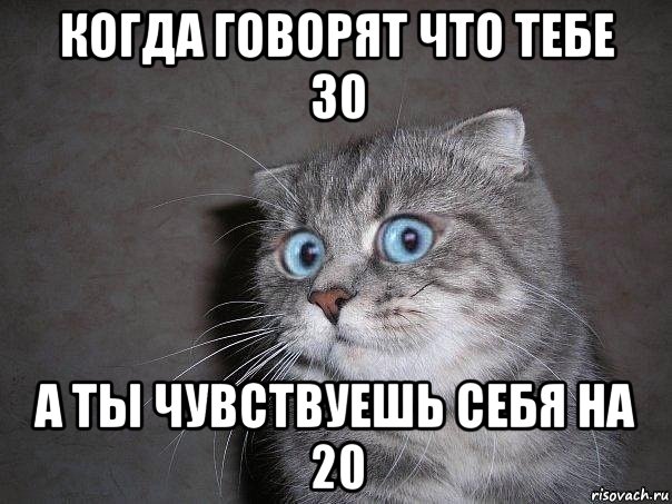 когда говорят что тебе 30 а ты чувствуешь себя на 20, Мем  удивлённый кот