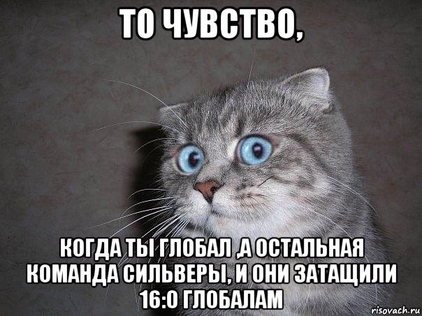 то чувство, когда ты глобал ,а остальная команда сильверы, и они затащили 16:0 глобалам, Мем  удивлённый кот