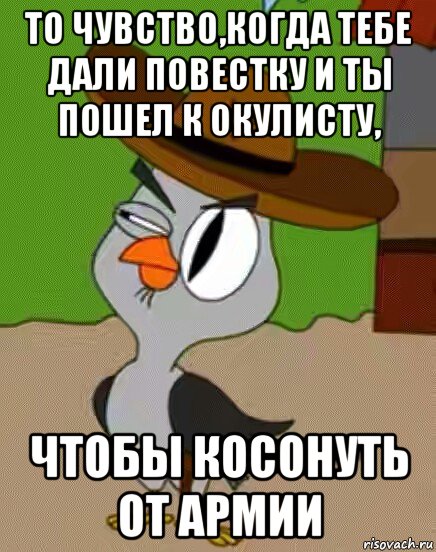 то чувство,когда тебе дали повестку и ты пошел к окулисту, чтобы косонуть от армии, Мем    Упоротая сова