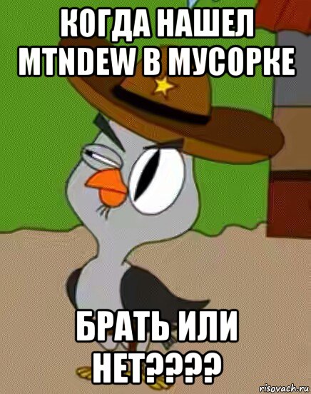 когда нашел mtndew в мусорке брать или нет????, Мем    Упоротая сова