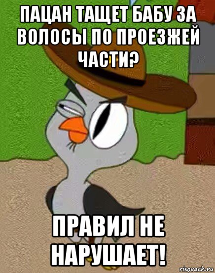 пацан тащет бабу за волосы по проезжей части? правил не нарушает!, Мем    Упоротая сова