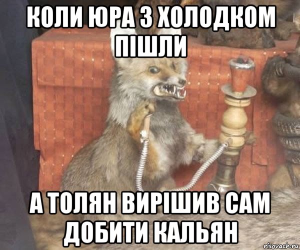 коли юра з холодком пішли а толян вирішив сам добити кальян, Мем Упоротый лис курит кальян