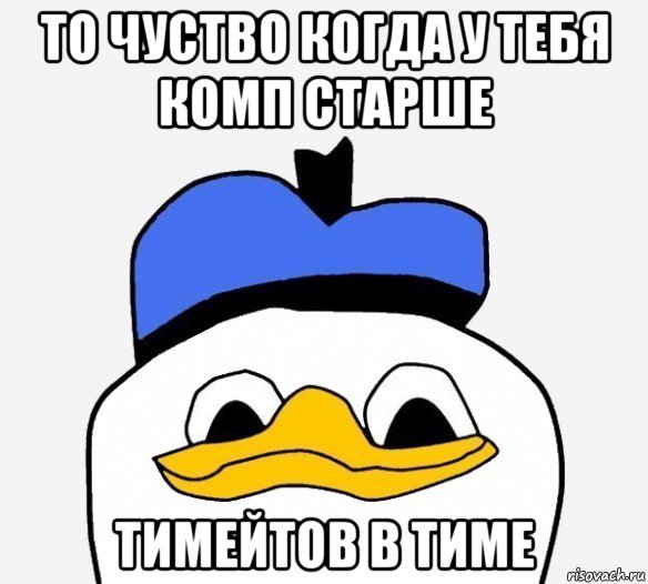 то чуство когда у тебя комп старше тимейтов в тиме, Мем Утка