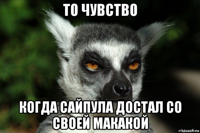 то чувство когда сайпула достал со своей макакой, Мем   Я збагоен