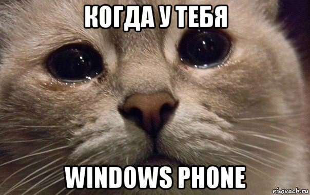 когда у тебя windows phone, Мем   В мире грустит один котик