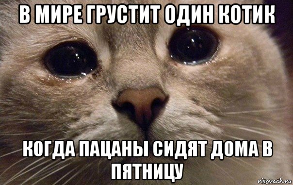 в мире грустит один котик когда пацаны сидят дома в пятницу, Мем   В мире грустит один котик