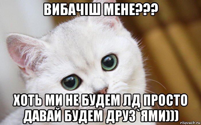 вибачіш мене??? хоть ми не будем лд просто давай будем друз`ями))), Мем  В мире грустит один котик