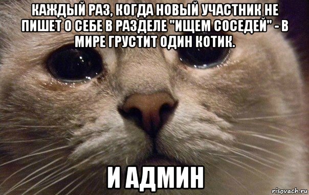 каждый раз, когда новый участник не пишет о себе в разделе "ищем соседей" - в мире грустит один котик. и админ, Мем   В мире грустит один котик