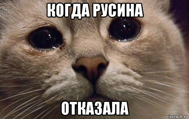 когда русина отказала, Мем   В мире грустит один котик