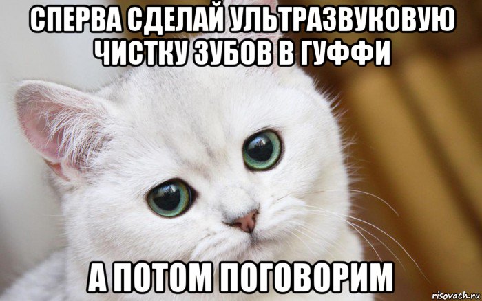 сперва сделай ультразвуковую чистку зубов в гуффи а потом поговорим, Мем  В мире грустит один котик