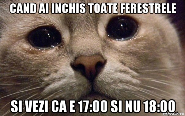 cand ai inchis toate ferestrele si vezi ca e 17:00 si nu 18:00, Мем   В мире грустит один котик