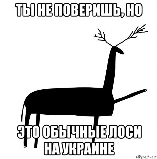 ты не поверишь, но это обычные лоси на украине, Мем  Вежливый олень