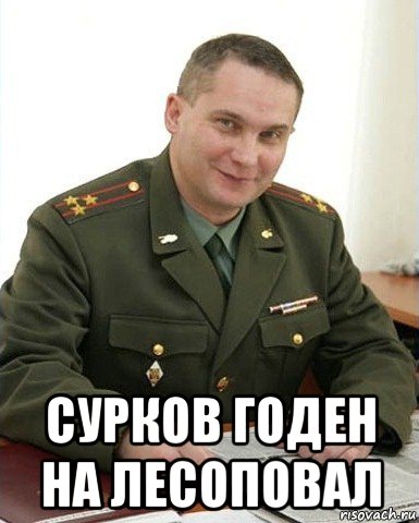  сурков годен на лесоповал, Мем Военком (полковник)