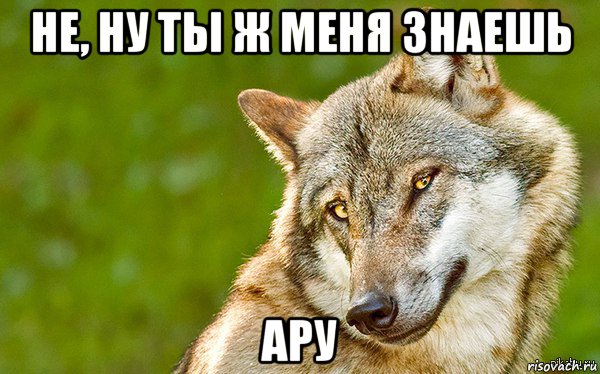 не, ну ты ж меня знаешь ару, Мем   Volf