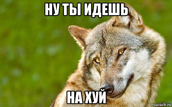 ну ты идешь на хуй, Мем   Volf