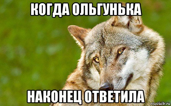 когда ольгунька наконец ответила, Мем   Volf