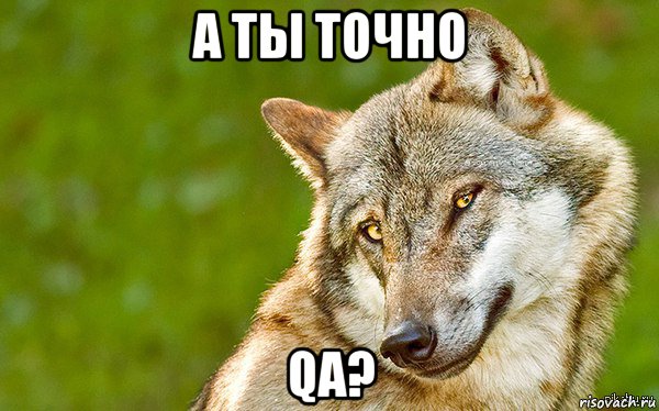 а ты точно qa?, Мем   Volf