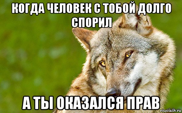 когда человек с тобой долго спорил а ты оказался прав, Мем   Volf