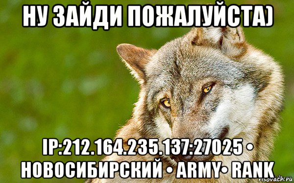 ну зайди пожалуйста) ip:212.164.235.137:27025 • новосибирский • army• rank, Мем   Volf