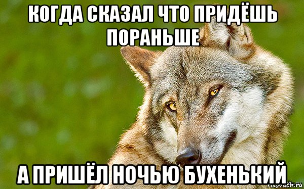 когда сказал что придёшь пораньше а пришёл ночью бухенький, Мем   Volf