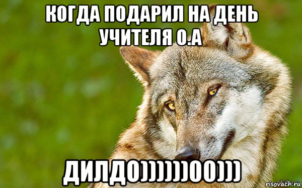 когда подарил на день учителя о.а дилдо))))))00))), Мем   Volf