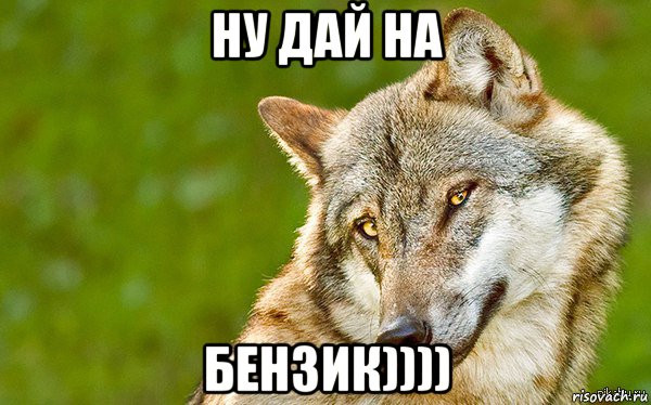 ну дай на бензик)))), Мем   Volf