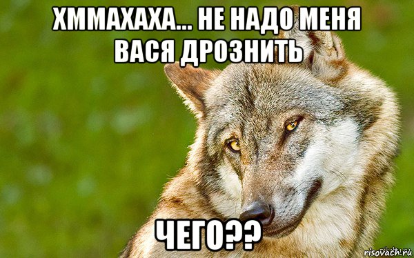 хммахаха... не надо меня вася дрознить чего??, Мем   Volf