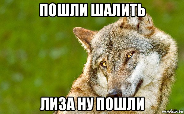 пошли шалить лиза ну пошли, Мем   Volf