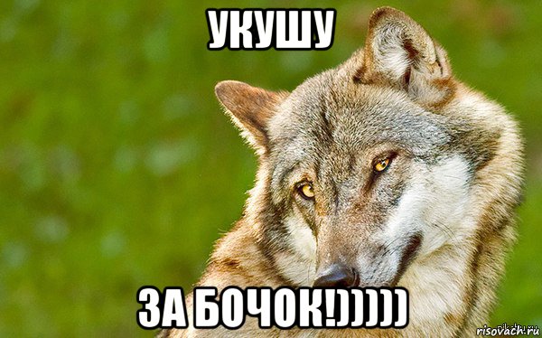 укушу за бочок!))))), Мем   Volf