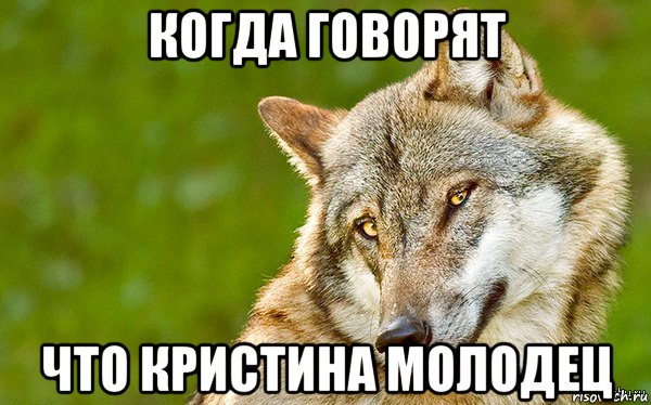 когда говорят что кристина молодец, Мем   Volf