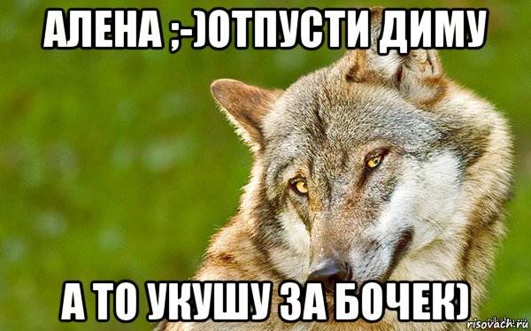 алена ;-)отпусти диму а то укушу за бочек), Мем   Volf