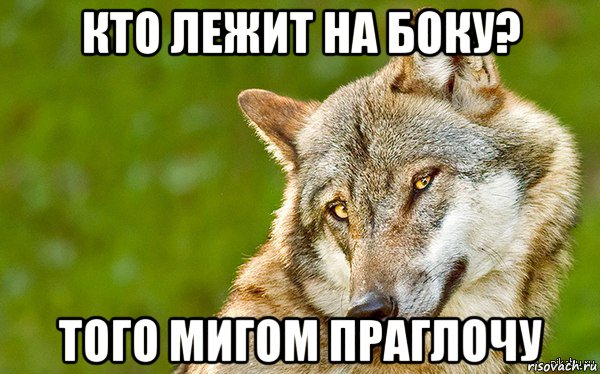 кто лежит на боку? того мигом праглочу, Мем   Volf