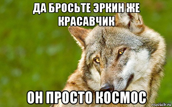 да бросьте эркин же красавчик он просто космос, Мем   Volf