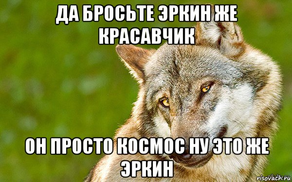 да бросьте эркин же красавчик он просто космос ну это же эркин, Мем   Volf